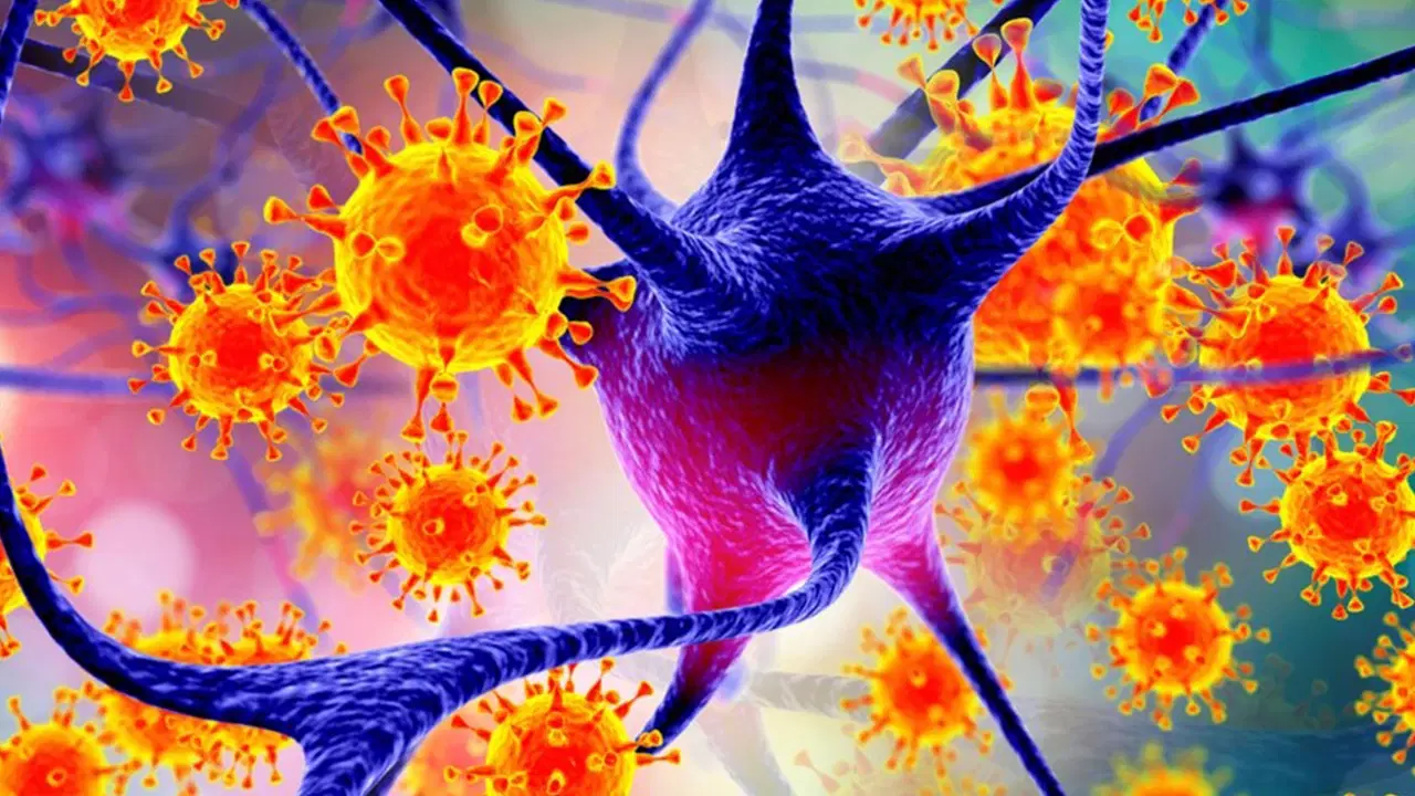 Nipah virüsü için uzmanından uyarı: 'Ölümcül seyir gösterebilir'