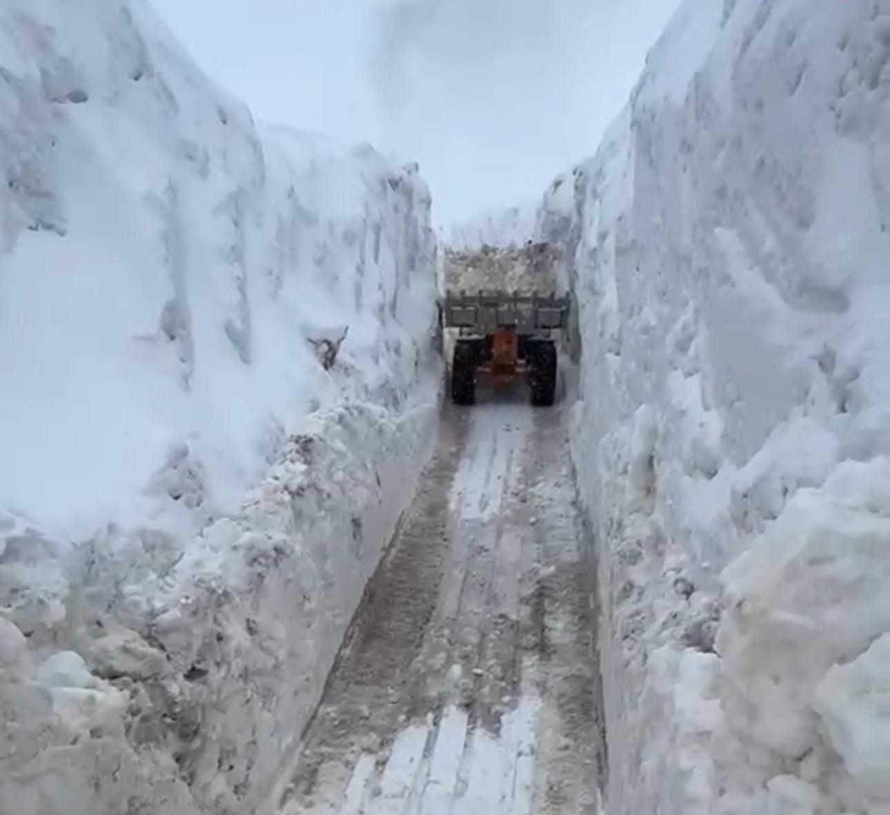 Şırnak’ta karlar arasındaki 2.5 kilometrelik "açık hava tüneli"