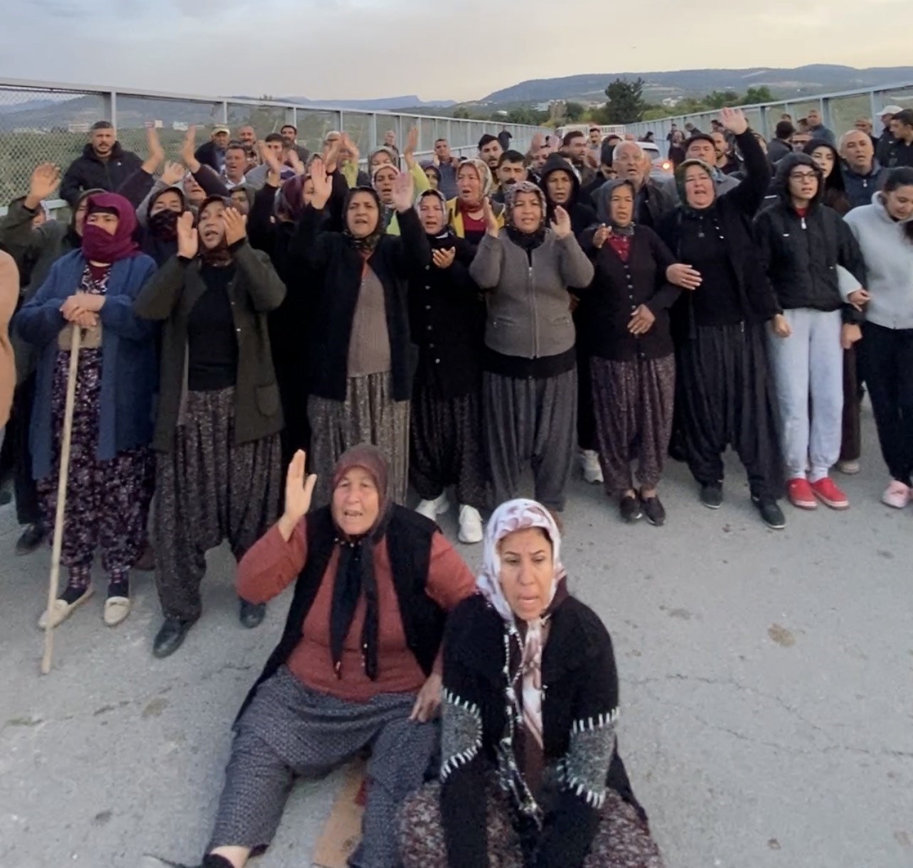 Mersin’de ormanlık alana ekili narenciye bahçelerinin kaldırılması kararına tepki