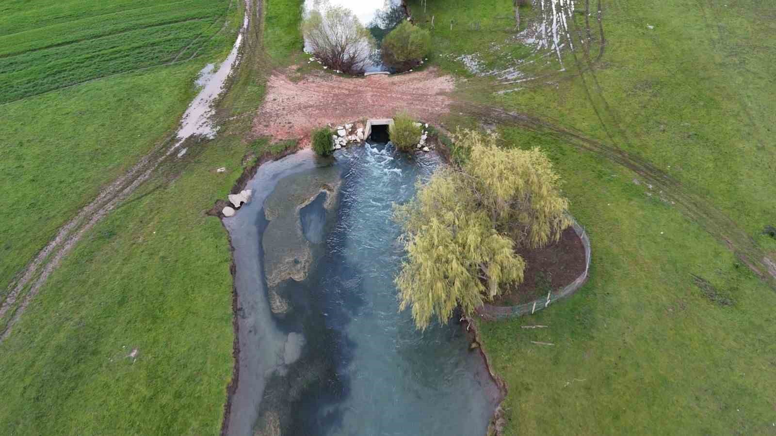 Leyleklerin durağı yemyeşil görüntüsüyle mest ediyor
