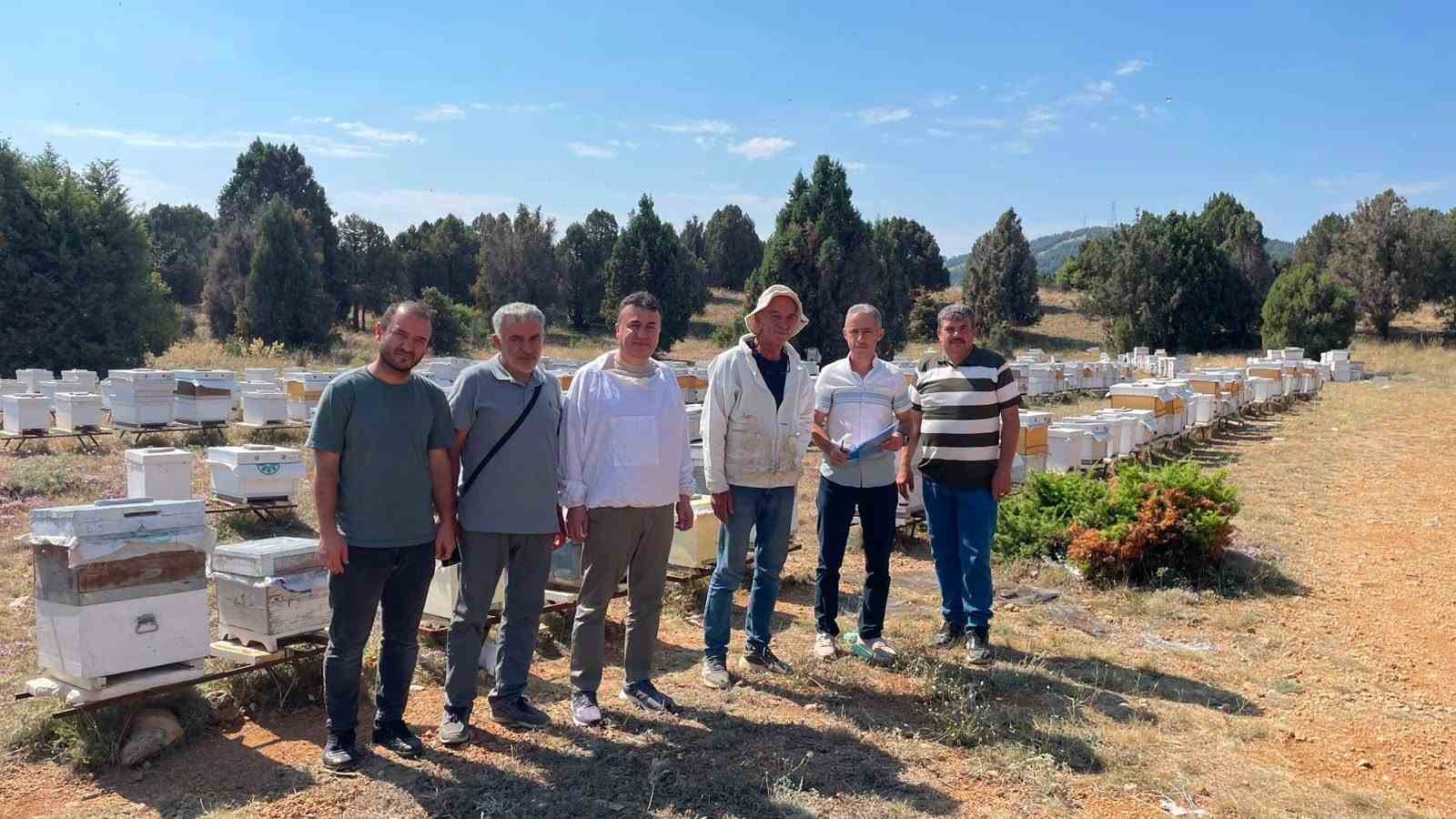 Beyşehir’de arılı kovanlar tek tek sayılıyor