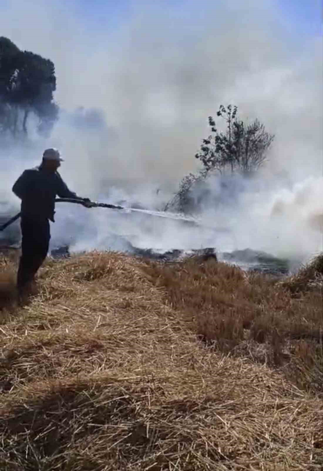 Sazlıkta başlayan yangın ormana sıçradı