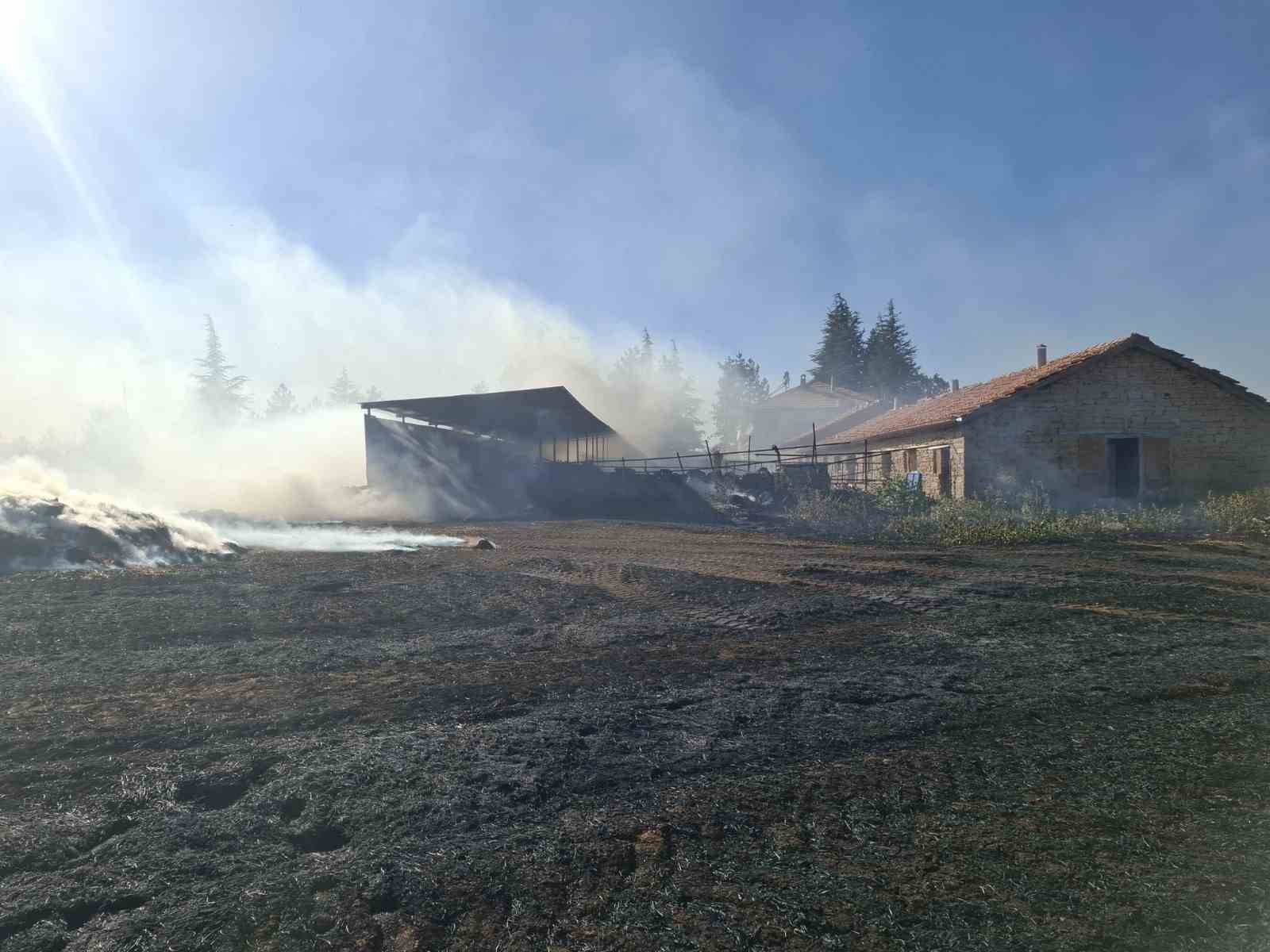 Beyşehir ve Hüyük’te çıkan anız yangınları paniğe neden oldu